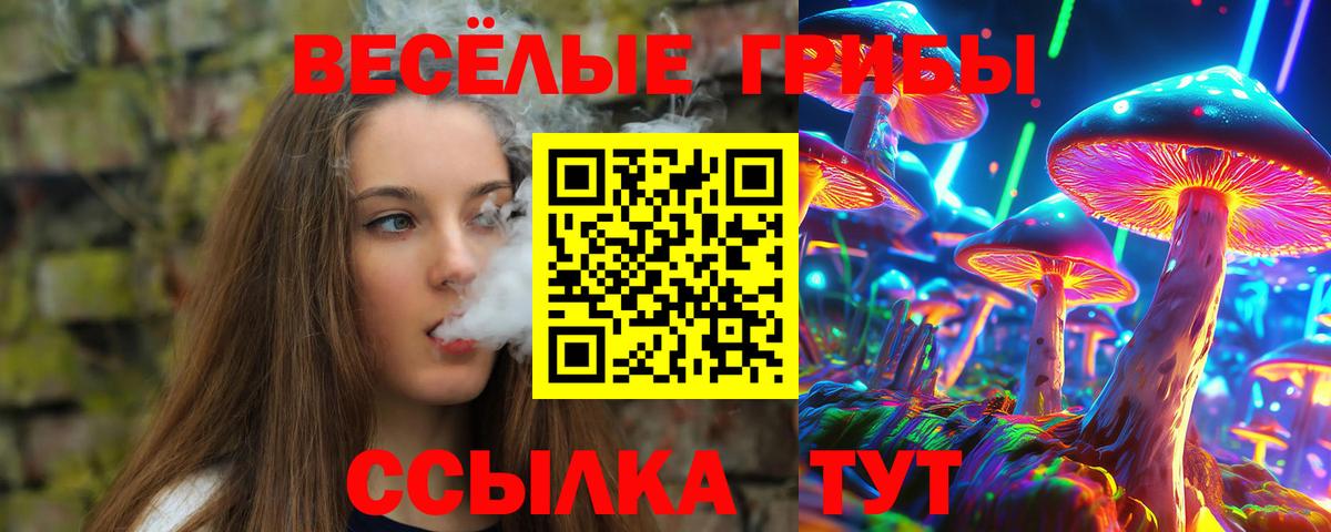 Псилоцибиновые грибы ЛСД  Вход с VPN  Псилоцибиновые грибы Magic Shrooms  Ульяновск 