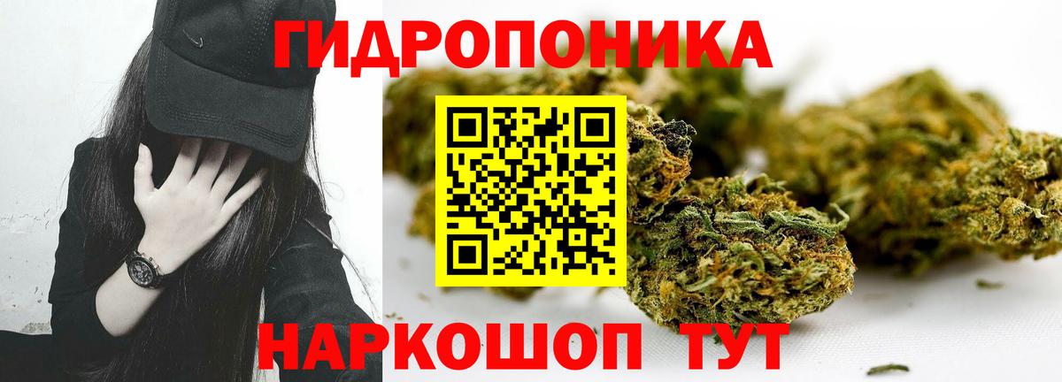 Конопля Ganja  Вход с VPN  Бошки марихуана VHQ  Конопля OG Kush  Каннабис гибрид  Ульяновск 